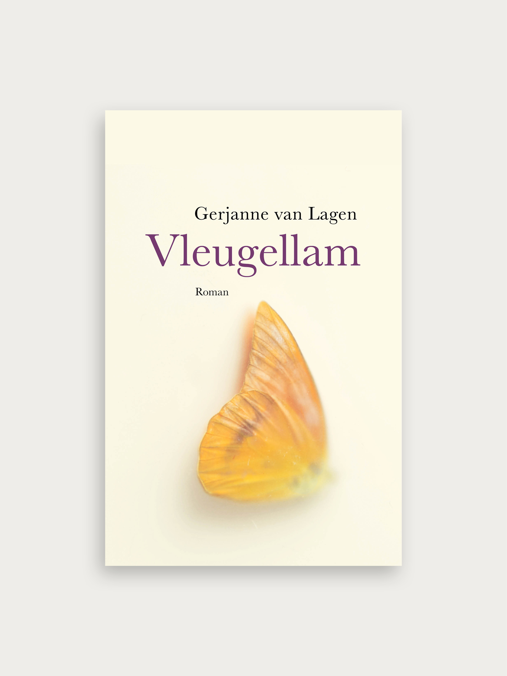 Nieuw boek Vleugellam van Gerjanne van Lagen